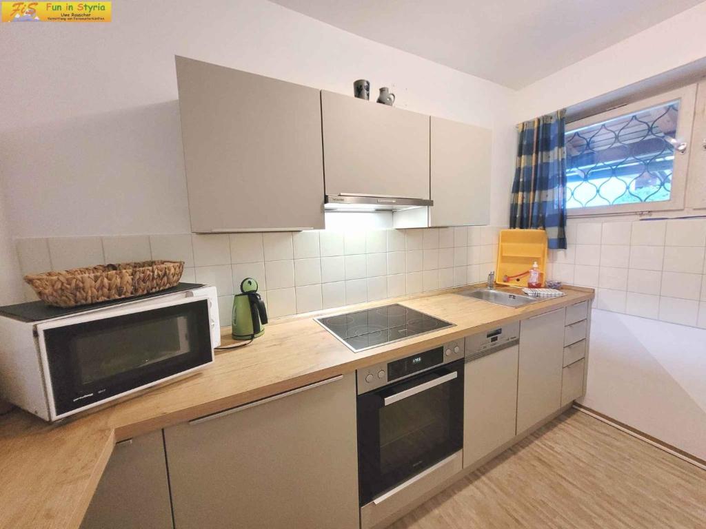 Holiday home in Bad Mitterndorf - Steiermark 41124 - 2