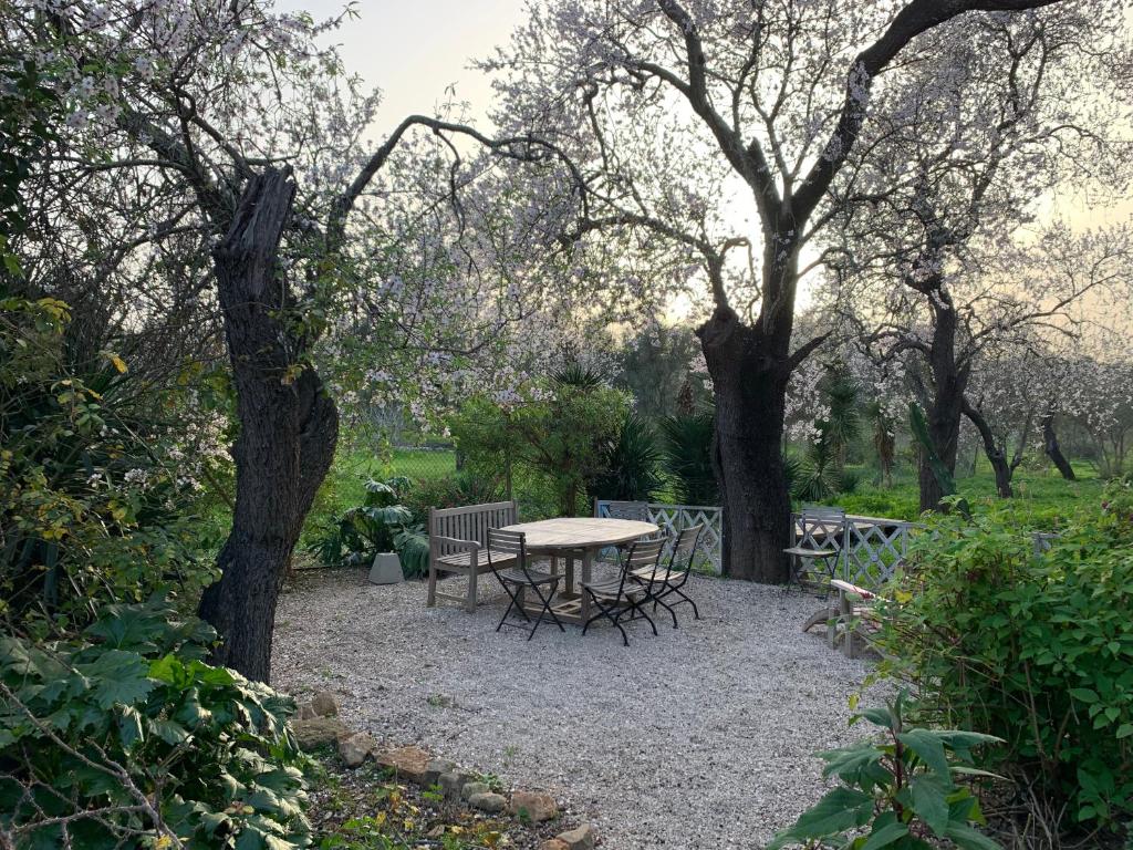 Surrounding environment