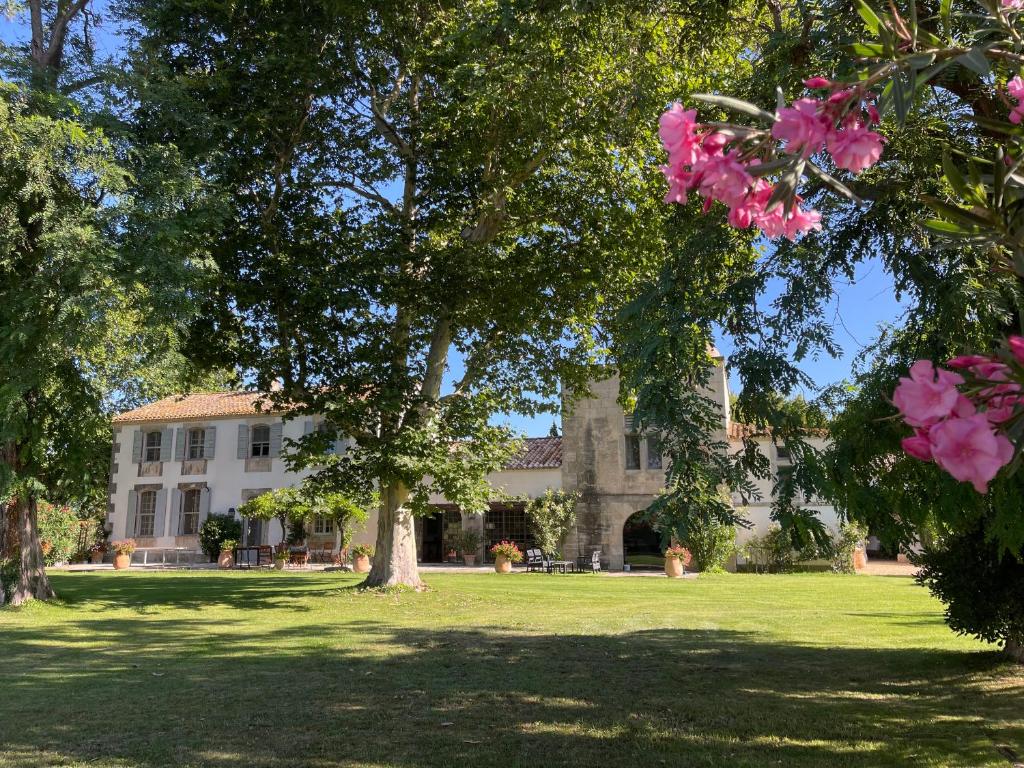 Mas des Bécasses, en Provence - 22 personnes - 2