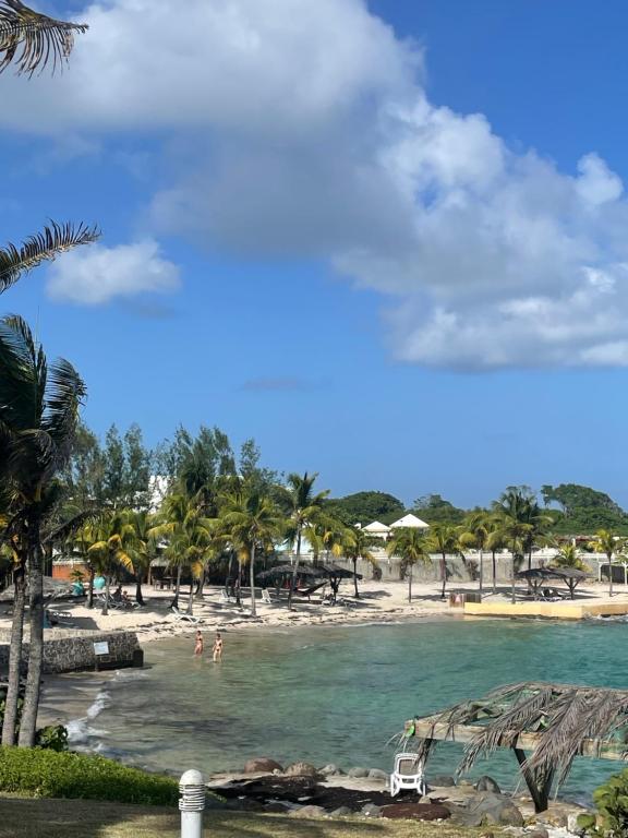 Attrapes rêves, Saint-François