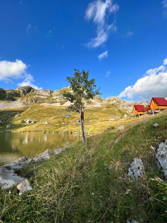 Rural Household MINIĆ - Kapetanovo jezero - 3