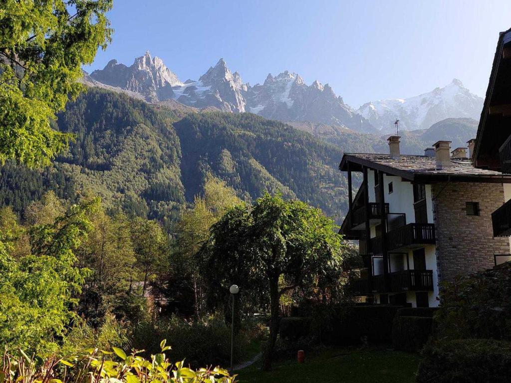 Superbe 3 pièces Chamonix - Jardin privé - Parking - Animaux admis - FR-1-517-25 - 3