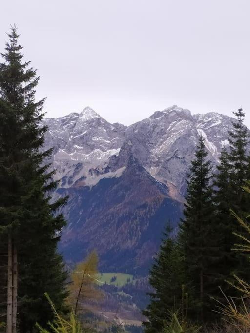 Hike Paradise in Carinthia - 4