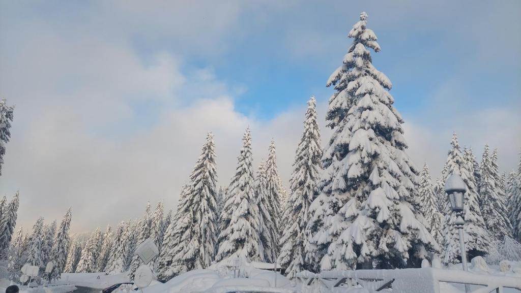 Apartmani Haski Konaci, Kopaonik