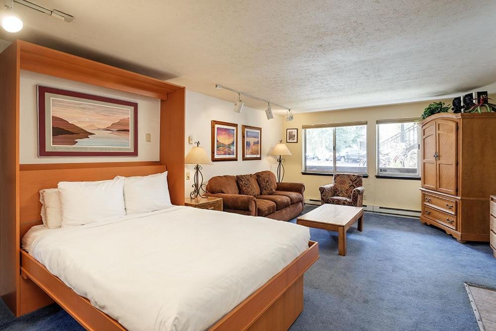 Silverglo Condominiums 104, Budget-Friendly Studio Close to Downtown, Full Kitchen, New Bathroom, Aspen