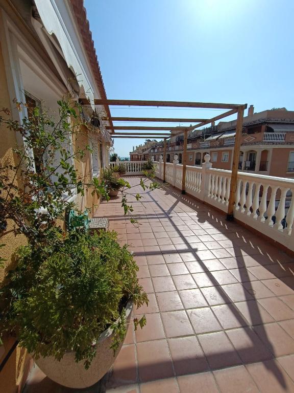LOVELY PENTHOUSE in front of the beach with free parking - 5