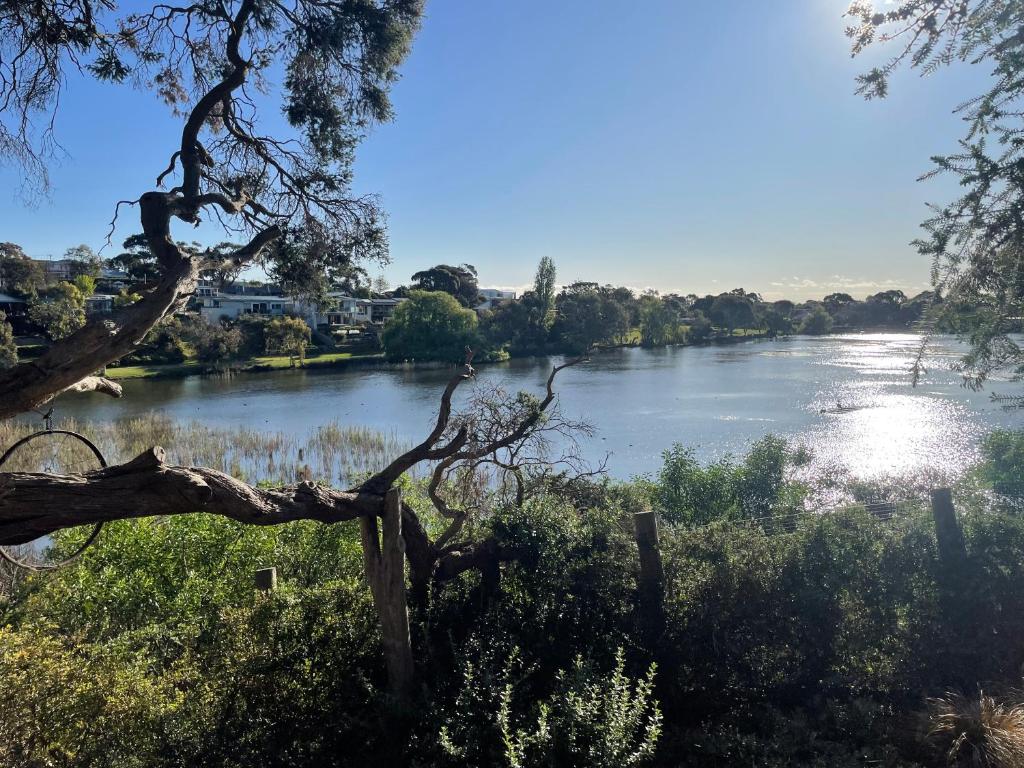 Tranquil Garden Studio with Stunning Lake Views, Ocean Grove