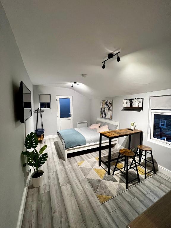 DVM escape Flat 2, Bristol