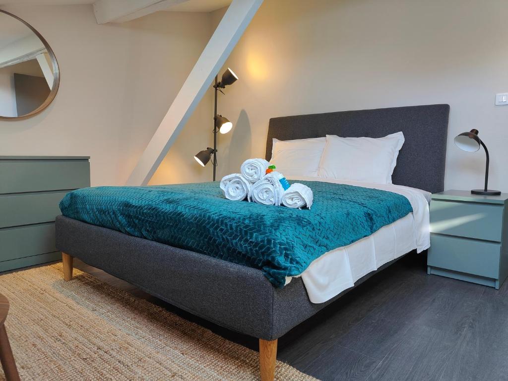 L'Envolée - Fibre - Clim - Centre-ville, Albi