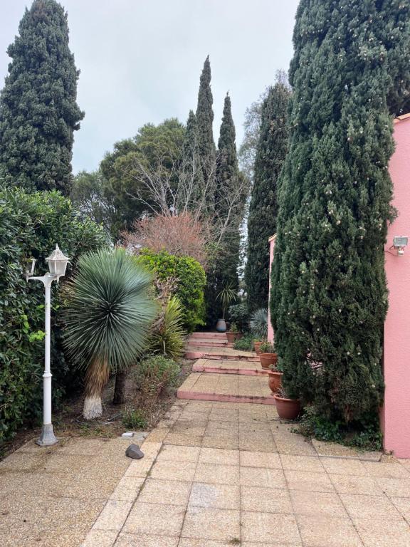 Villa du Cap de 5 chambres et sa grande piscine - 2