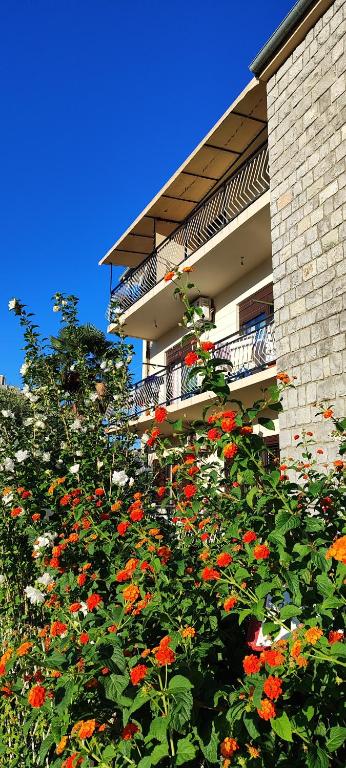Sea and Sunshine 100m to beach,free parking,centar,View - 4