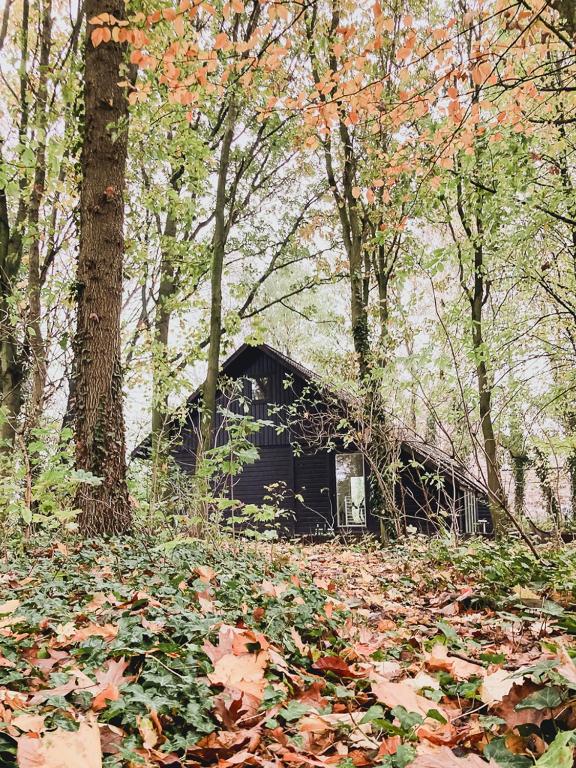Zonder Vaart, magisch plekje met bos en plukveld