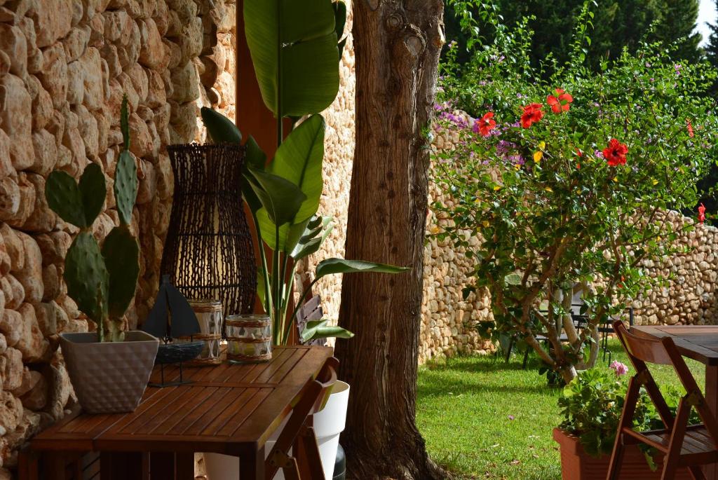 Casa Bouganville - 4