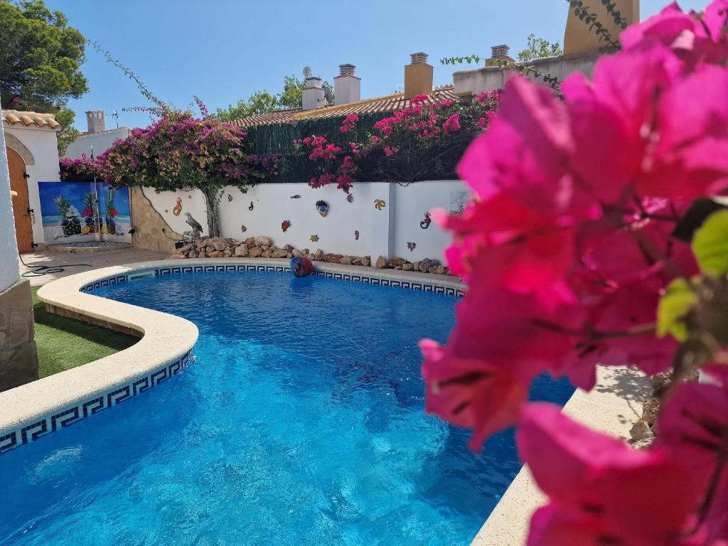 Riumar Don Quichotte, 100m to beach, Privat-Pool, On-Site-Service, dog beach, Riumar