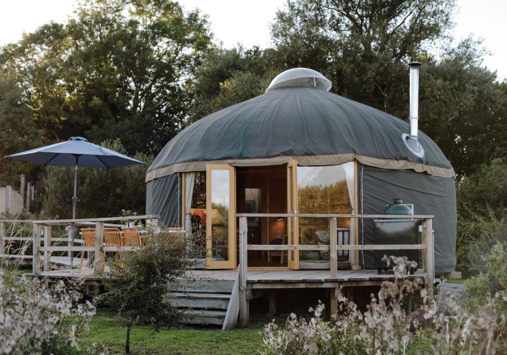 Tree Field Yurt at Moor Farm, Godshill