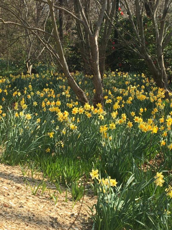 Amaroo Guesthouse, Mount Wilson
