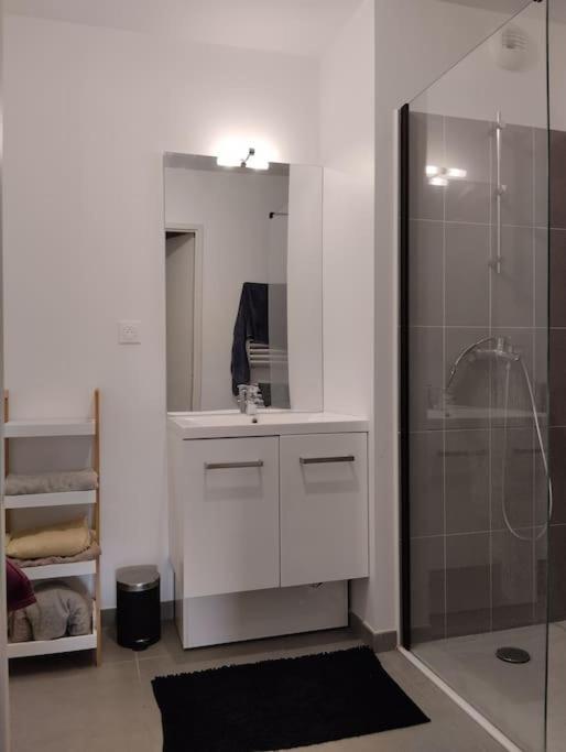 Appartement T3 gare st rock - 5