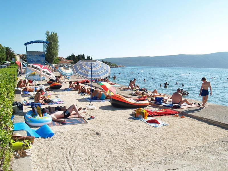 Hotel Kamelija photo