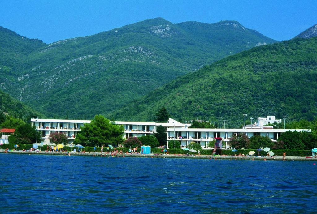 Hotel Kamelija photo