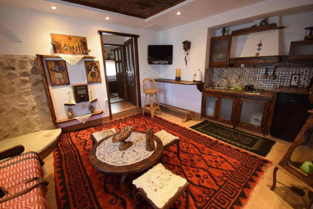 Irini's studios, Zigovístion