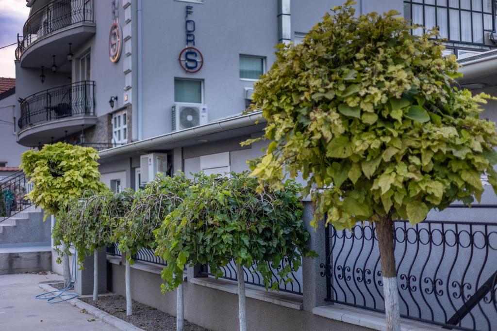 ForS Konak Apartments - 3