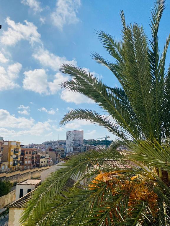 Casas349h Alicante Centre Second Floor - 4