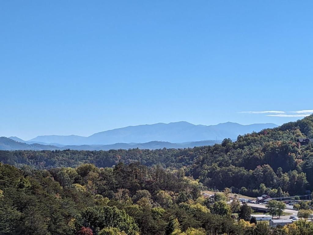 ERN862 - MeMe's Hunt'N Camp cabin, Pigeon Forge