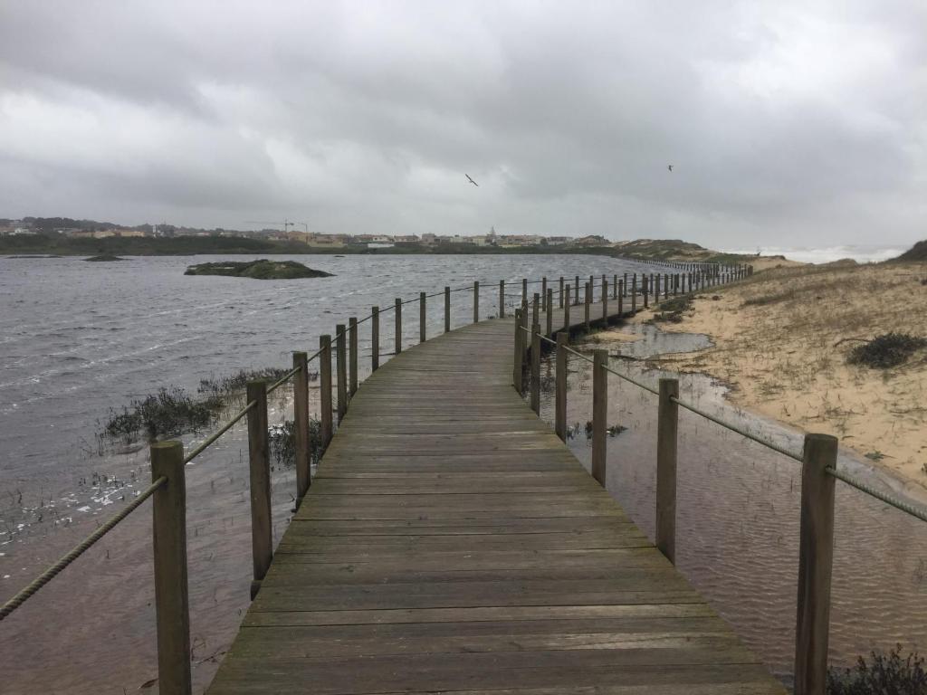 Casa de Arvore, Árvore