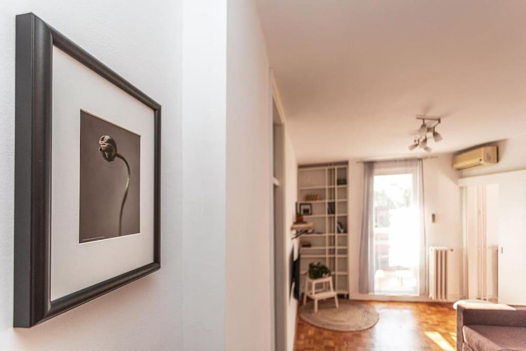 Belgrade Hill Apartment - 5