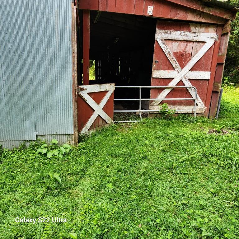 HOOTERHILLS, Morgantown