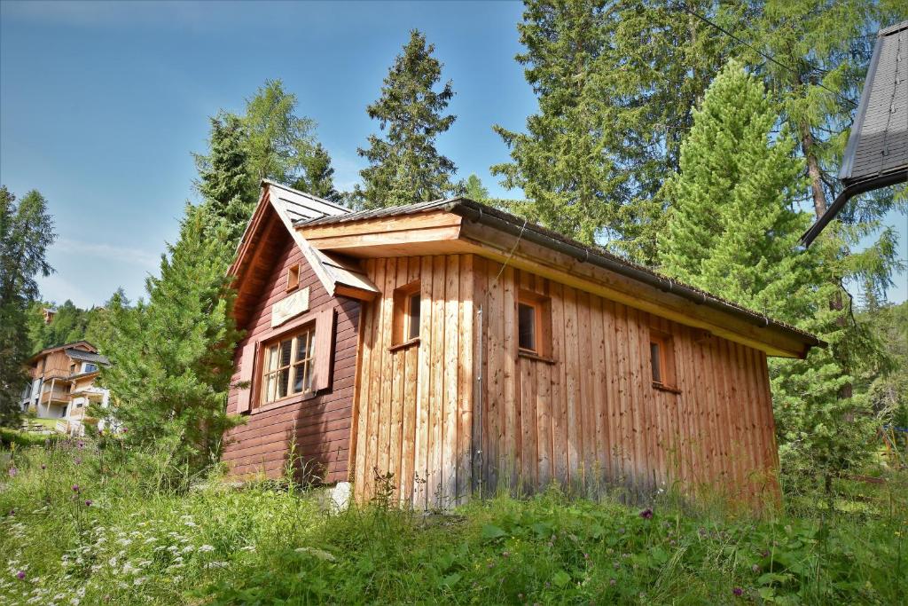 Zirbenwald Chalet - 2