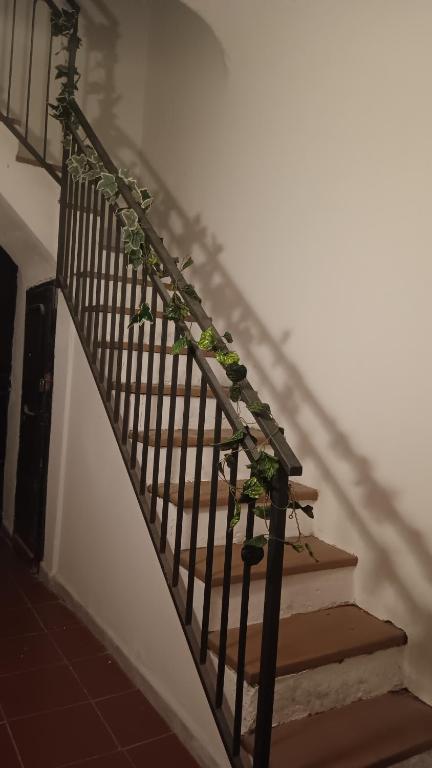 Casa Selinunte - 4