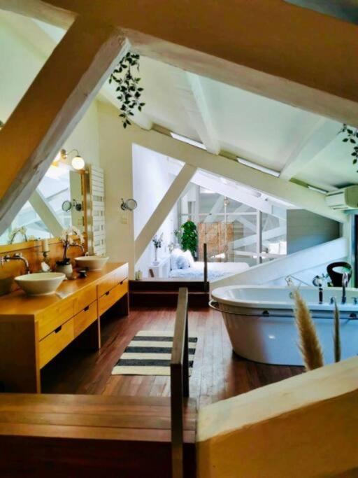 Loft Paradis - Hyper Centre - 280M2 - 3