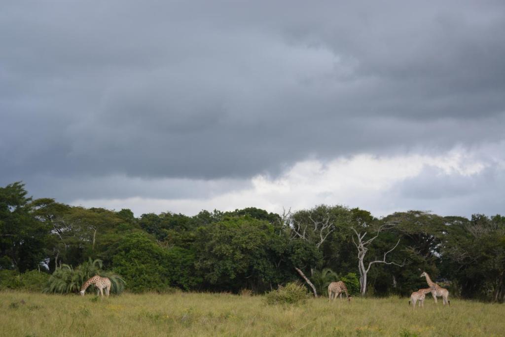 周辺観光スポット