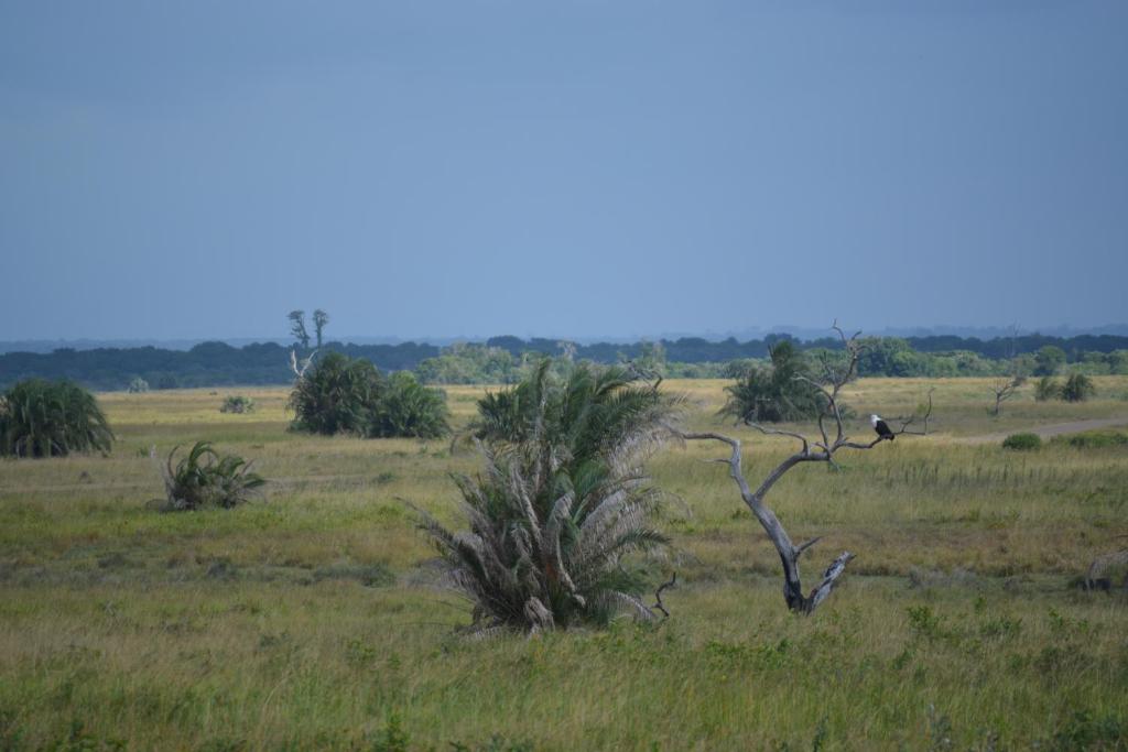 周辺観光スポット