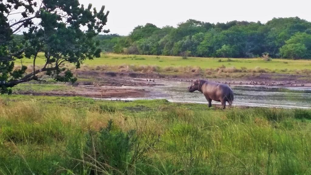 周辺観光スポット