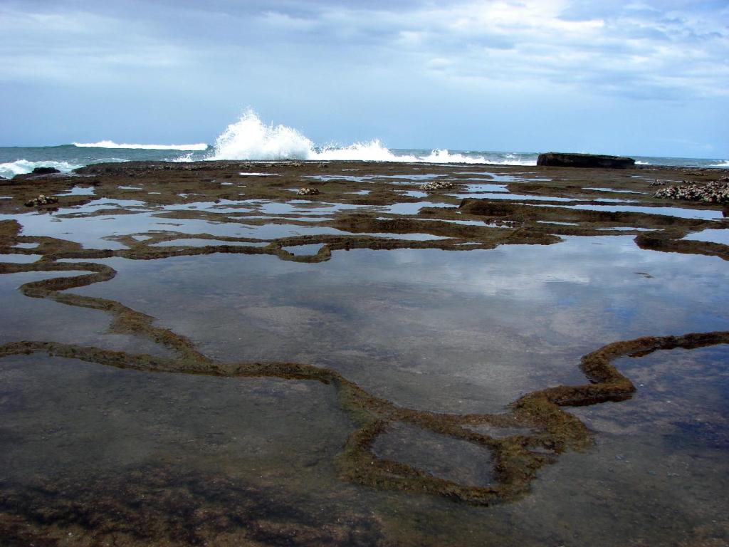 周辺観光スポット
