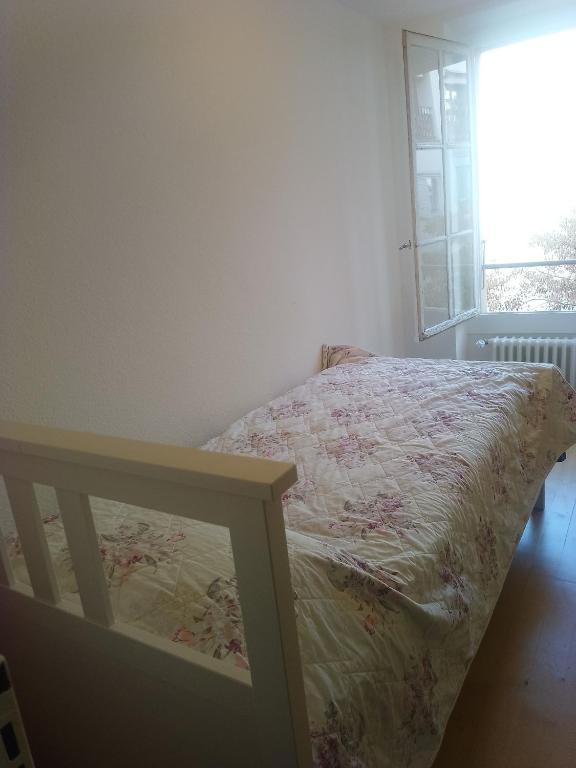 Charming flat center and near the lake - 3