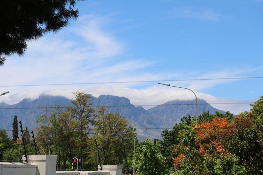Digital Nomad's Nest, Kapské Město