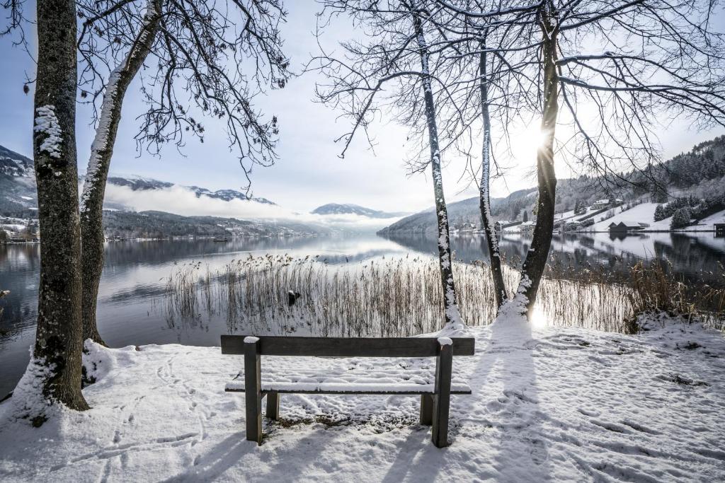 Eco Lodges Millstätter See - 4