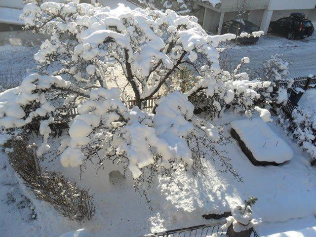 Haus Sabine Braunegger - 4