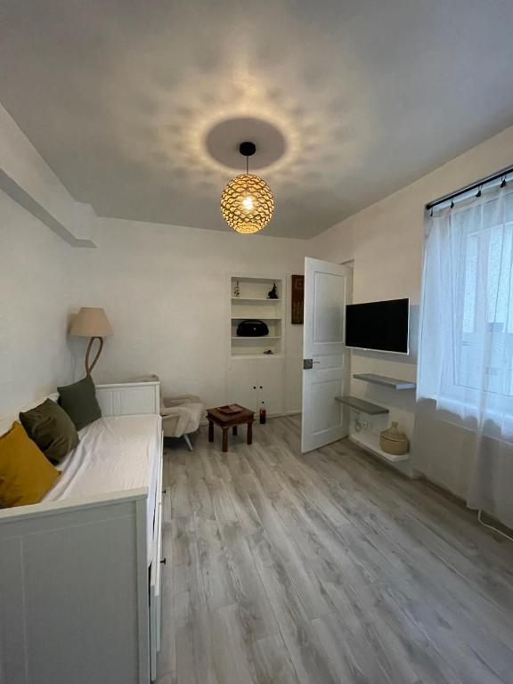 Studio cosy quartier observatoire - 5