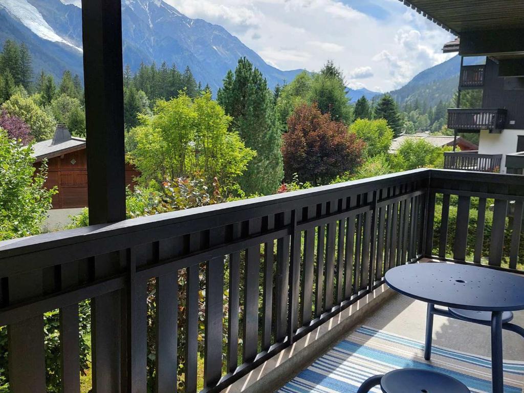 2 Pièces Vue Mont Blanc avec Balcon - Chamonix, Animaux acceptés - FR-1-517-19 - 2