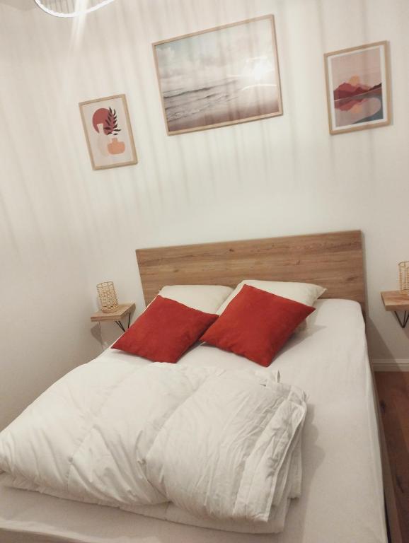 Appartement hyper centre - 2
