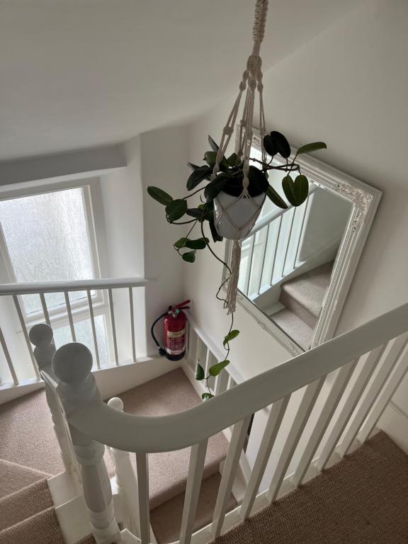 The Captain's House B&B, Looe photo 8