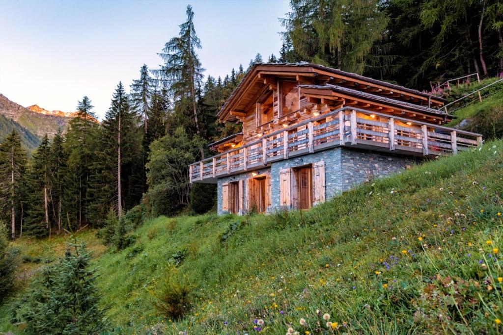 Authentic Swiss Spa Chalet Nesoya Jacuzzi Sauna - 5