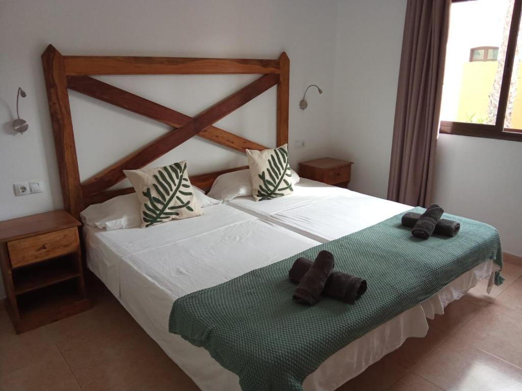 Casa Papagayo - 5