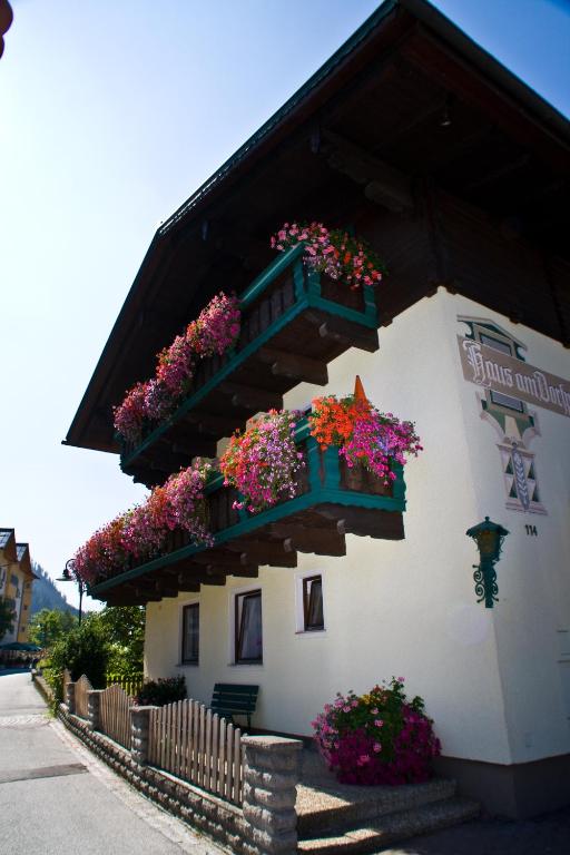 Pension Haus am Dorfplatz - 1