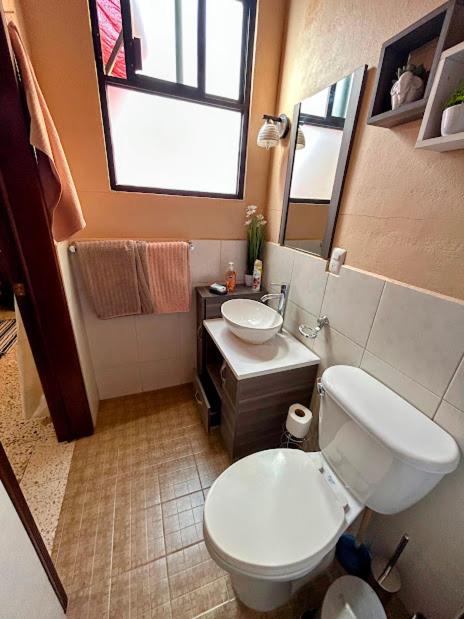 Casa de las Palmas Guest House - 3