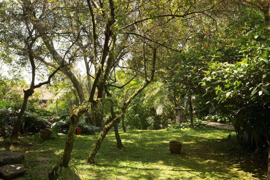 Surrounding environment